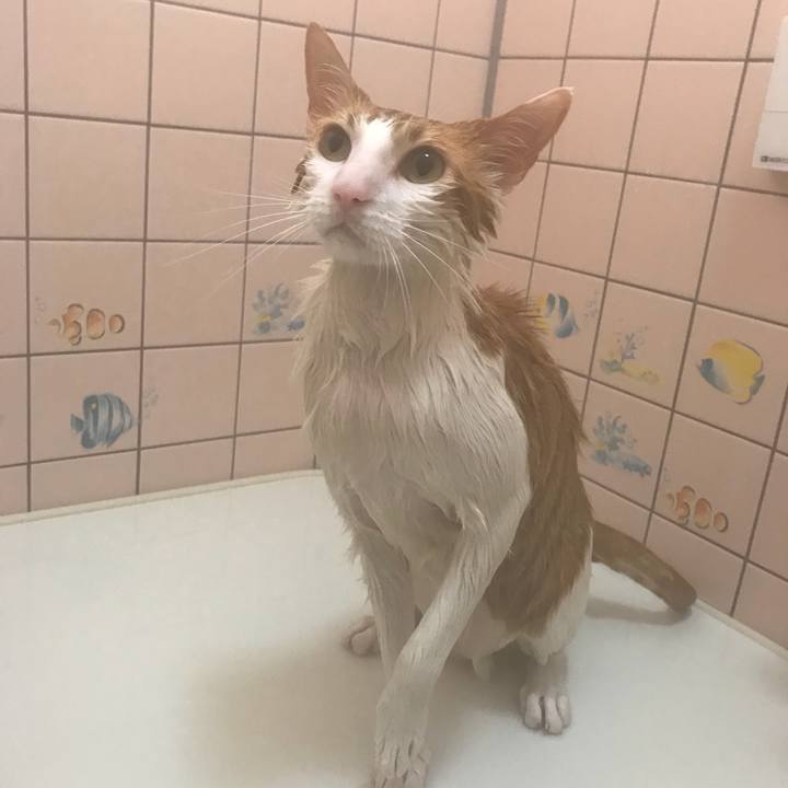 Cdc0954e b4d5 4c42 82b2 dbcdca6725c6 1512111000956