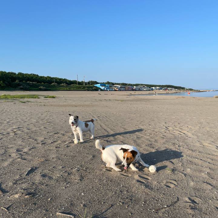 Cdc097e0 8d43 4b95 9c1e 89af572be7e3 1689984301330