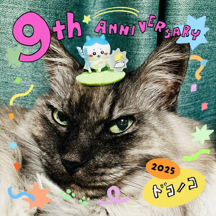 Cdc0cd77 d28b 4484 856d b5461be1cc31 1749369103787