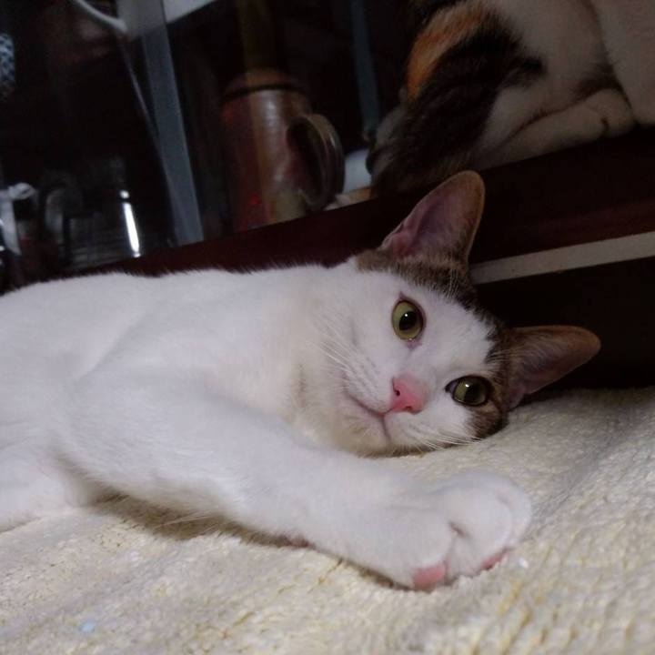 Cdc0e3f3 bf2d 4c42 ba11 70f0a2752b98 1665048081979