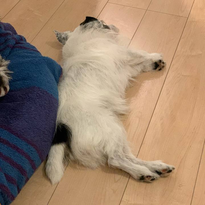 Cdc1095b 8e4f 4be4 923d 1fa77c1e33c1 1754394485034