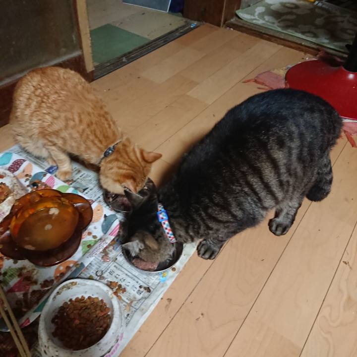 Cdc16270 60b6 442e 8d7f a5f0b0862767 1656502233171