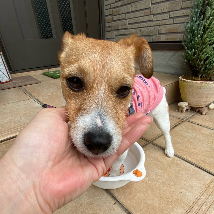 Cdc16653 6e07 429c 8f87 8662c2518eee 1589851538174