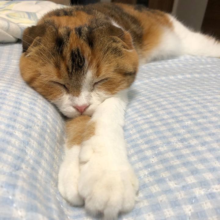 Cdc1a3a2 388e 4f51 afad 9823e3ca01c0 1563716275854