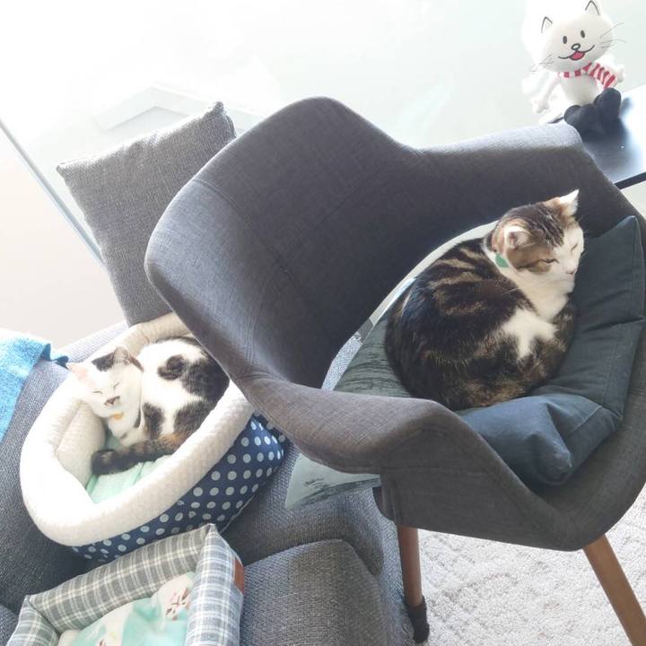 Cdc1aabd aeed 4250 8273 86dc4f817706 1607914581769