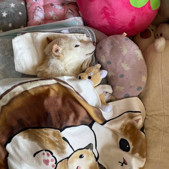 Cdc1adb1 b497 4005 af09 f1d33f37be31 1679966465204