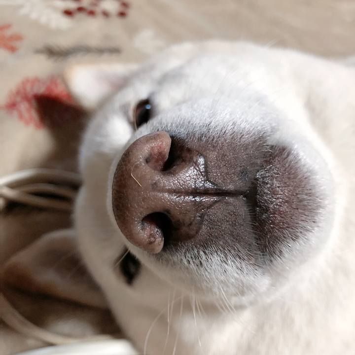 Cdc1c8ad ee80 4709 b7f9 e31b8ba14762 1666678944846