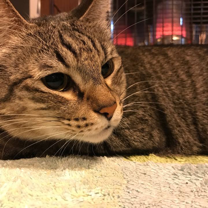 Cdc1d0ae 56e7 4302 9d50 f8225d4c651c 1512450825201