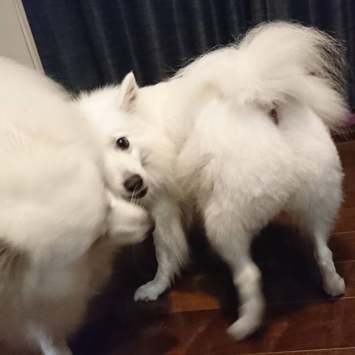 Cdc1d350 fda3 4005 931b c4adc6b833c8 1567519500394