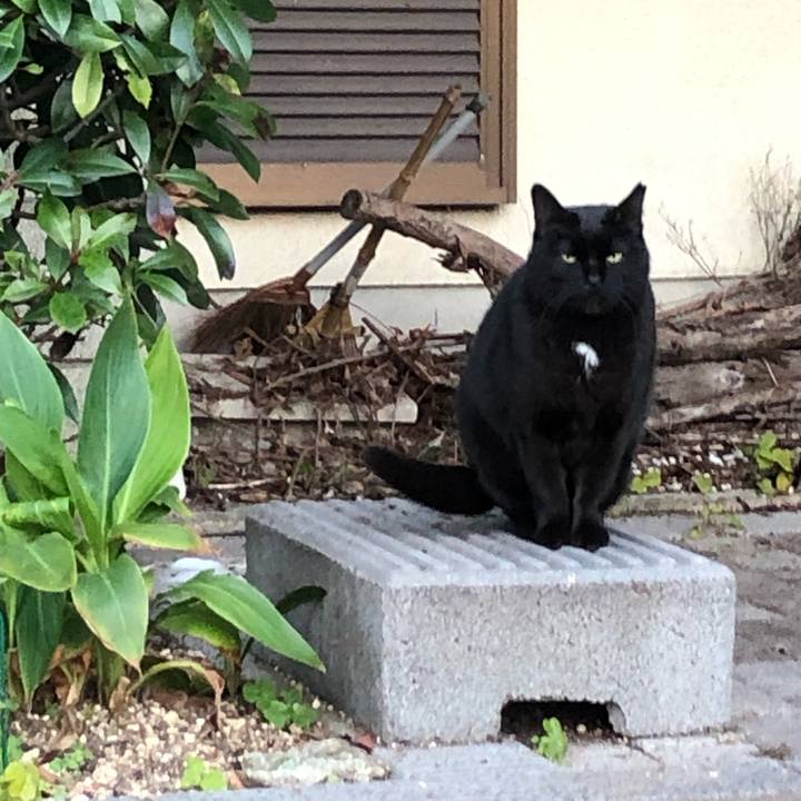 Cdc23562 9c82 4162 830f 7431cca6dfa3 1643871887219