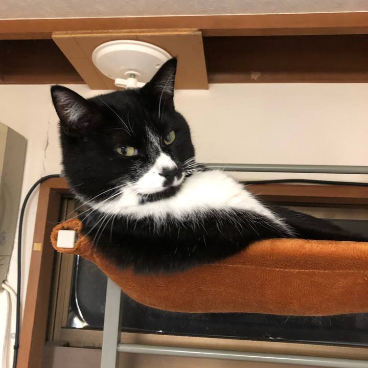 Cdc256a2 ea18 4781 a843 c0902c2980f7 1548733300736