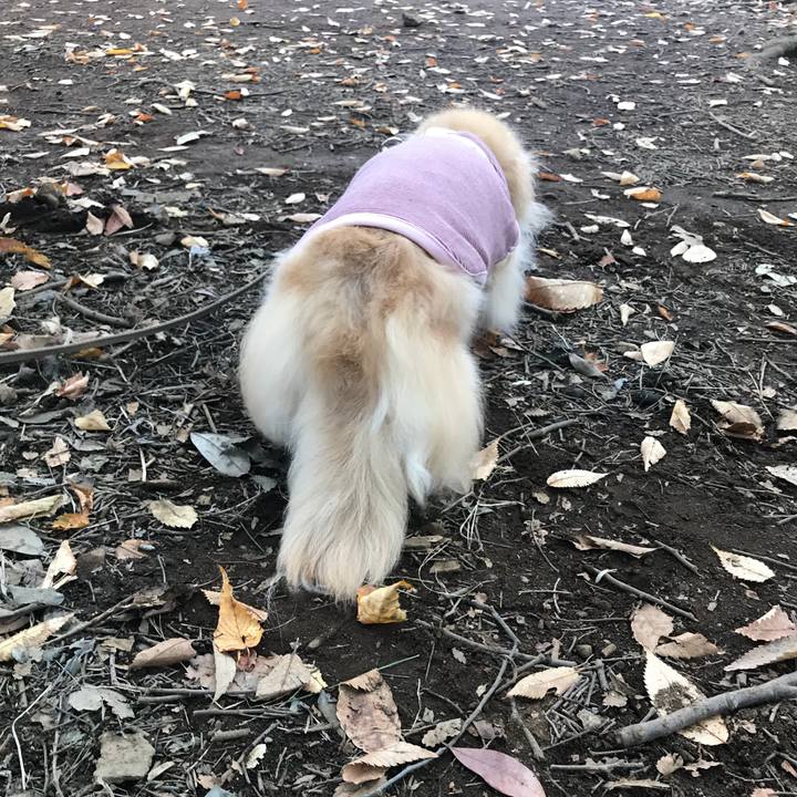 Cdc257c7 3bb3 49b9 a640 fcc8062f7d7a 1509154825969