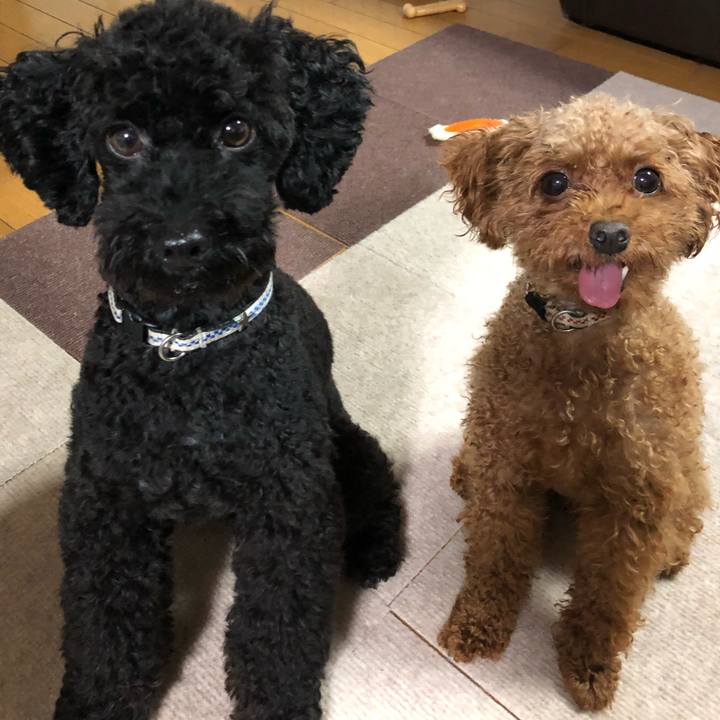 Cdc2ffe4 aa8d 47fa 8362 2c987bc3e57b 1535928291786