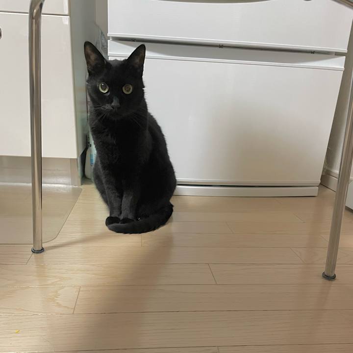 Cdc307a0 b4fe 4820 86bc 41111fdf0185 1748523525462