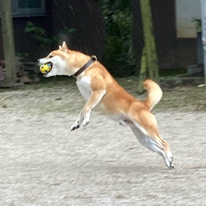 Cdc309f5 403c 4545 b567 eac9ac061a4f 1630657659054