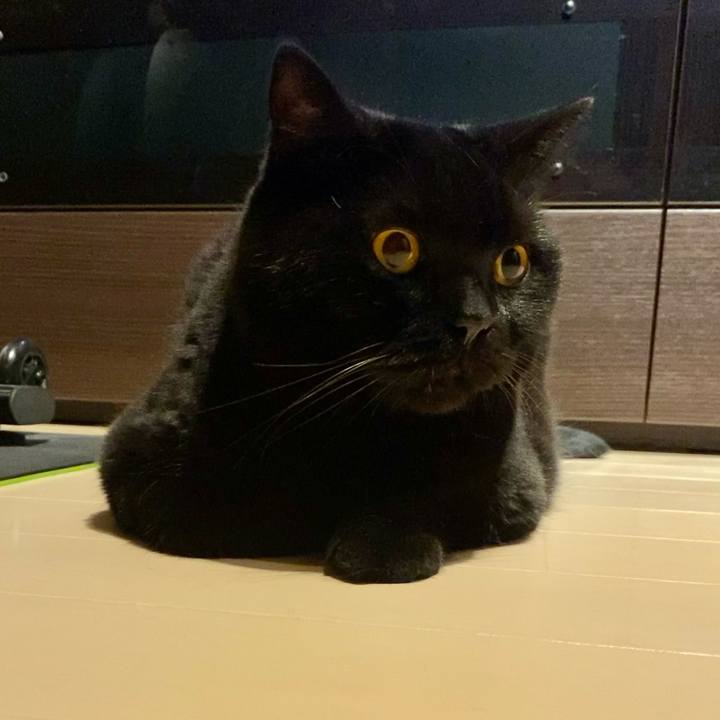 Cdc31aad f52e 4a12 8741 4d3f91e44ff2 1688473922192