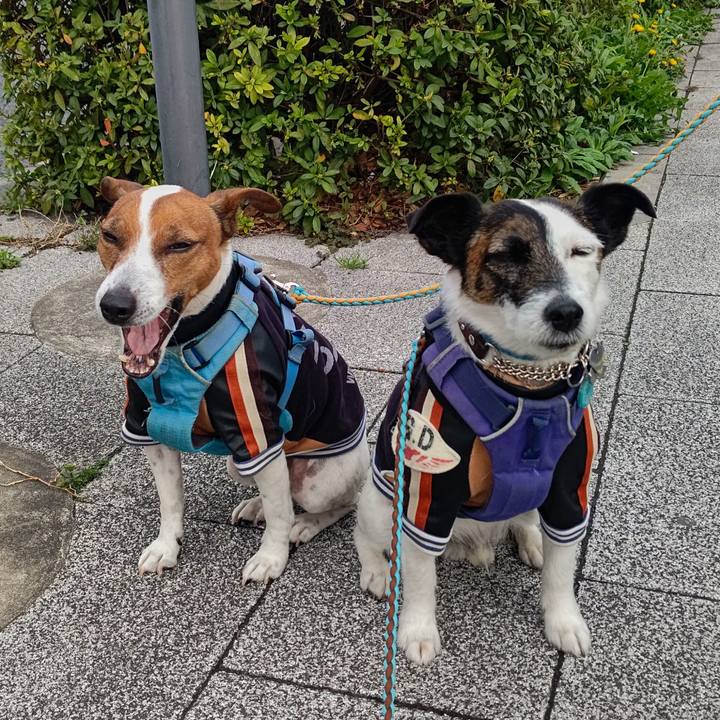 Cdc337d0 9808 4d5b adbd af2aaf3843d5 1679358381792