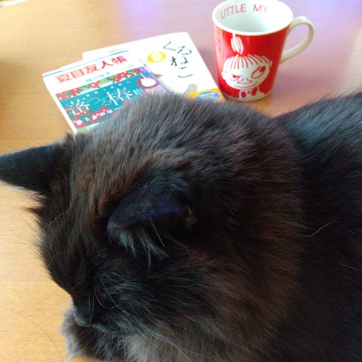 Cdc393a9 bb13 48ed bda6 a46204af3390 1651996813460