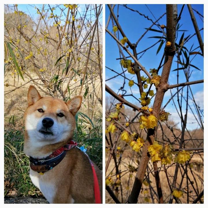 Cdc3adb5 c76b 4331 bf5a 207cd9b87ffb 1580780194785