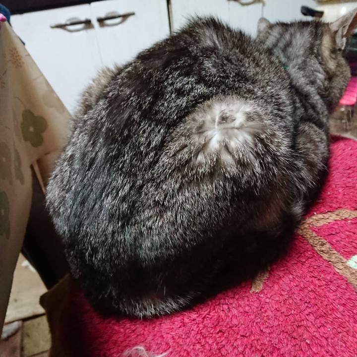 Cdc3b923 c1a9 47b5 9027 831583d2cadf 1555586352648