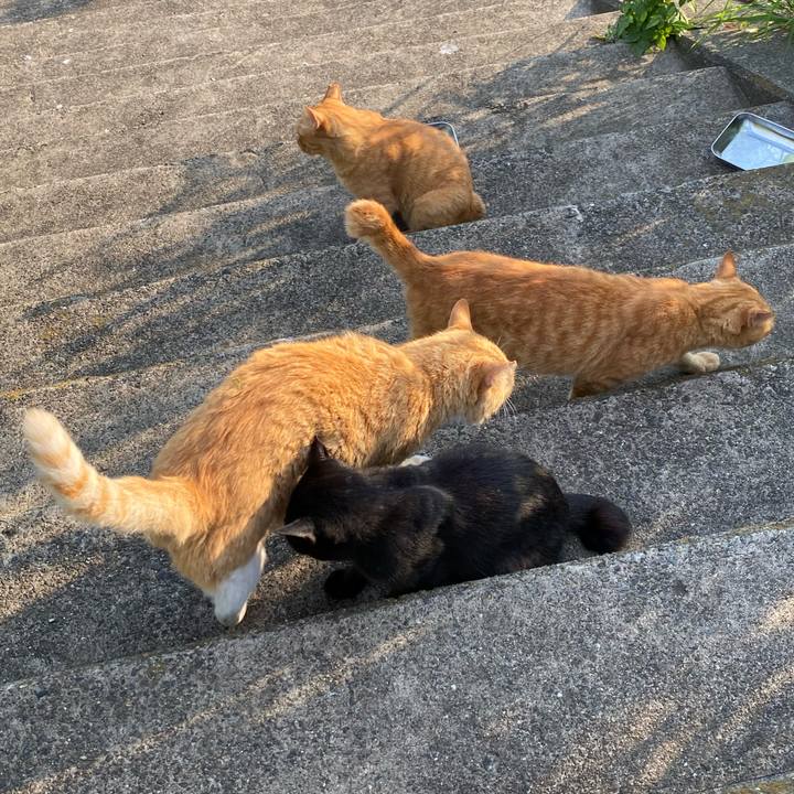 Cdc3b9fa 6ab0 4402 8adb b091365bef18 1690018496278