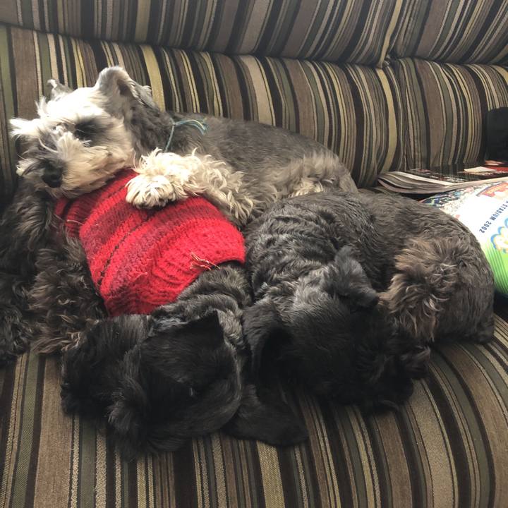 Cdc3d553 ec8f 445c 8c84 206cac40f572 1550971730139