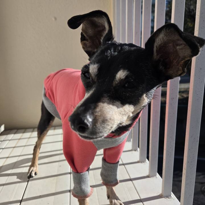 Cdc3f25e 30f2 488d 8a9d 2ca1a483d34c 1768023801064