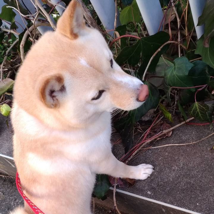 Cdc42322 2a29 41db abf5 1e0418b6f4a1 1580293902734