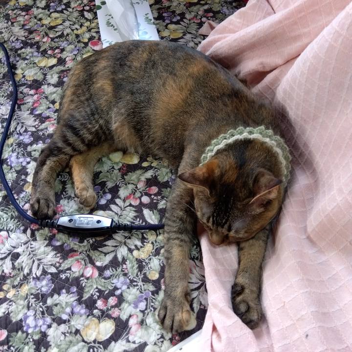 Cdc43914 0f4f 4949 a778 1c58a0338a0f 1646886886452