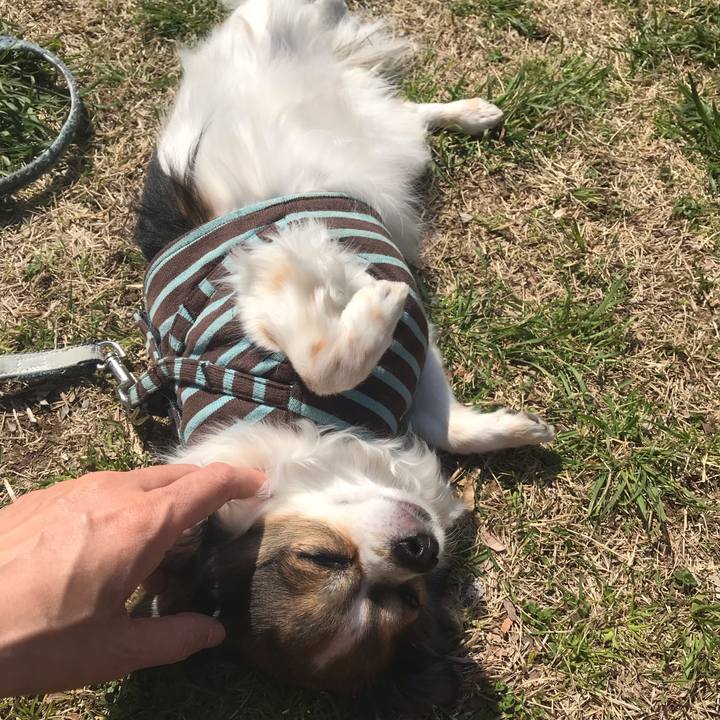 Cdc46b79 2f96 4754 93ea 4e611f50d1d3 1553055318521