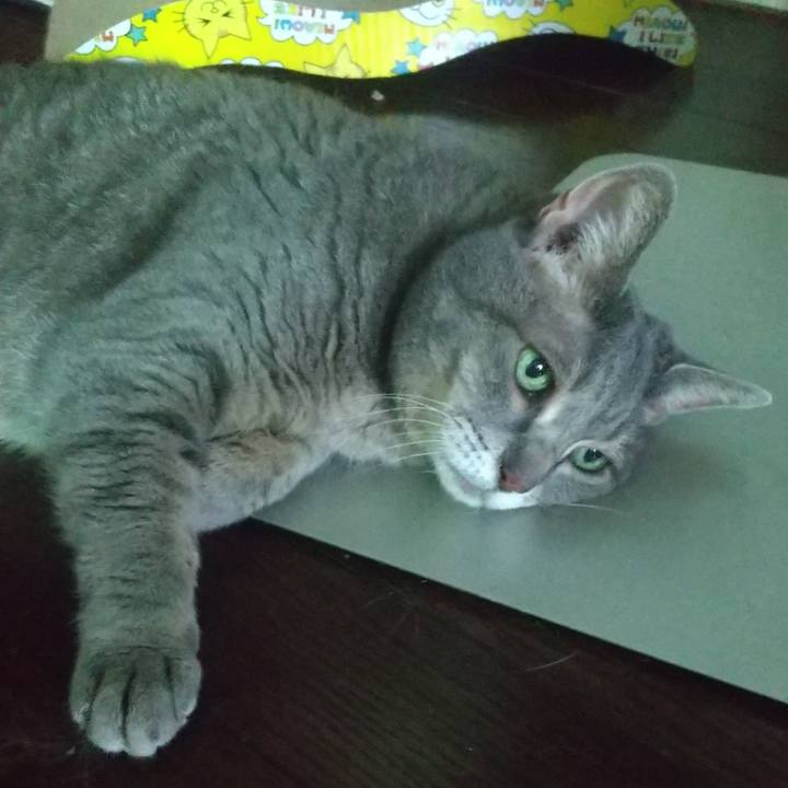 Cdc479b4 92a8 4878 9c2e 76d43c76674a 1659948184230