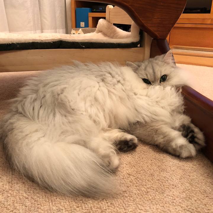 Cdc49016 d7dd 49a1 828c 455c0abea930 1518608440121