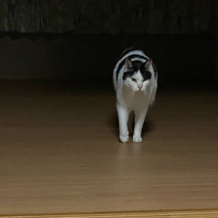 Cdc49045 62c7 4f8a 8491 c4c51b9dd313 1591788003663