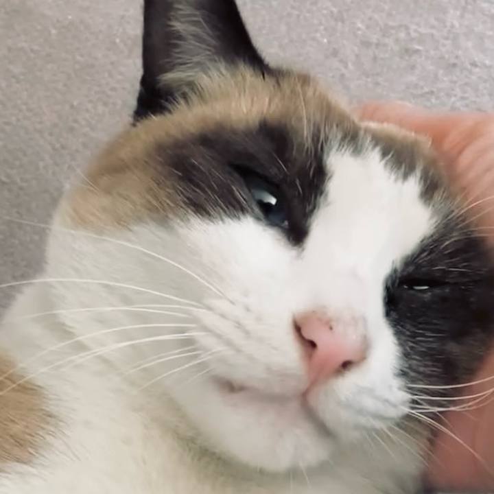 Cdc4b3d8 1388 474d ade3 40bd1e277703 1733974164674