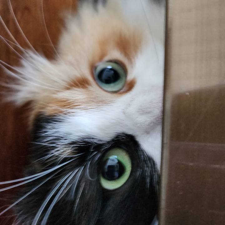 Cdc4bcf6 7aa3 42c9 94fe 1e3217972c52 1714304214160