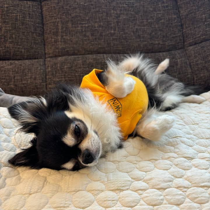 Cdc51c3b 3d42 4596 8ede 9895db9b783a 1731774009306