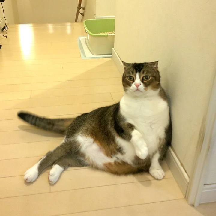 Cdc52fed 87e3 4a65 b00a 118822ca890a 1603544864834