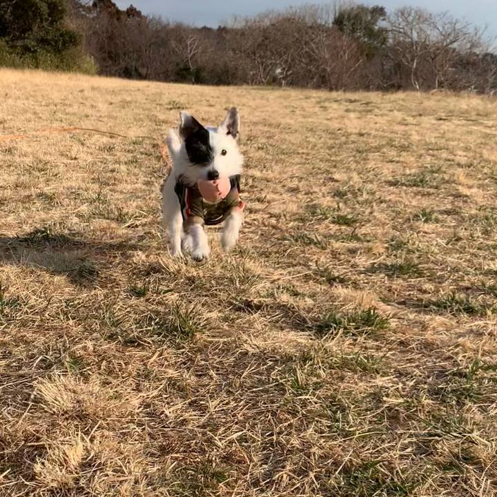 Cdc54440 e438 47a1 b459 eaf4a9ed7f6c 1739750110092