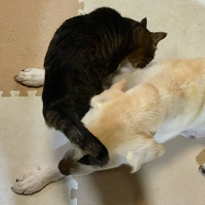 Cdc56eb5 604f 4b1f bae0 5292b24ee136 1579605957135