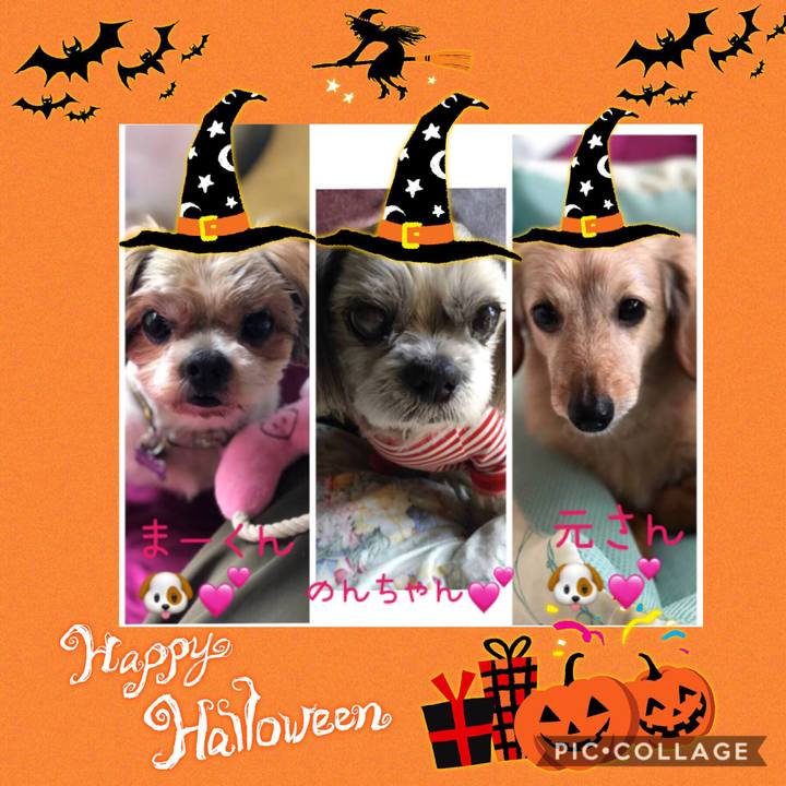 Cdc57ac7 f411 441b a839 b1cb876300b5 1572002635504