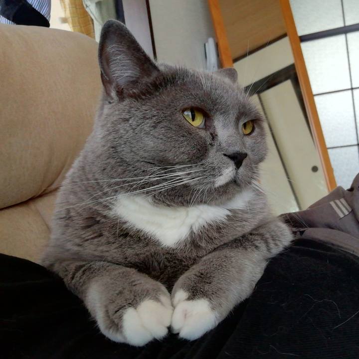 Cdc58a42 91d5 4533 878f b8d7afb77d10 1717825725164