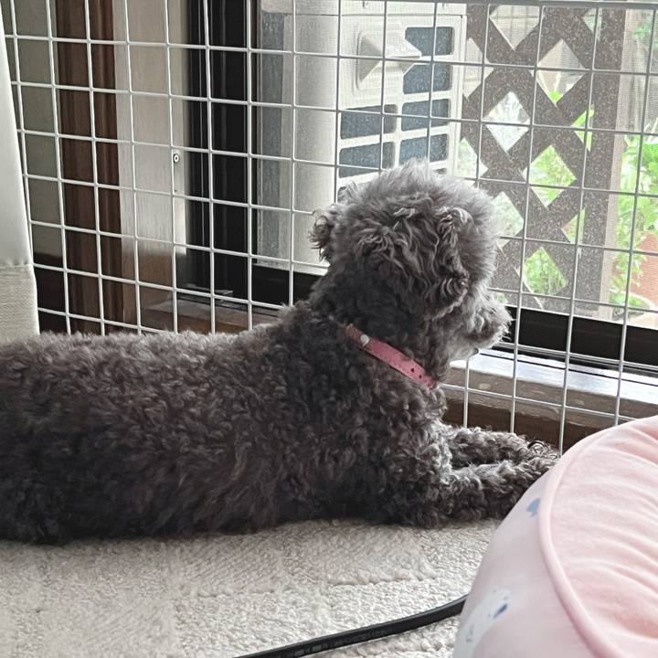 Cdc5c321 c373 4e0b 83a4 9a1fec376ca7 1689201629128