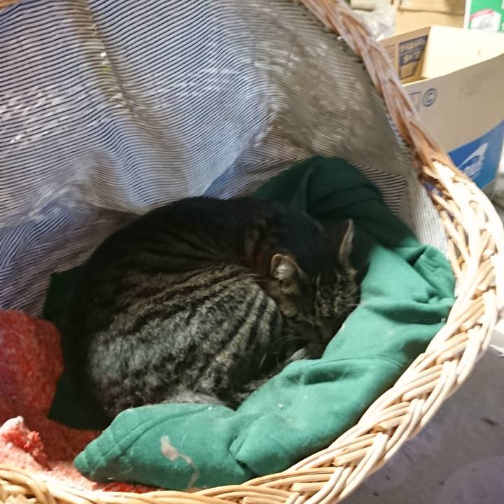 Cdc5f1b8 8817 4f9d b293 e1a385212ab3 1642457536967