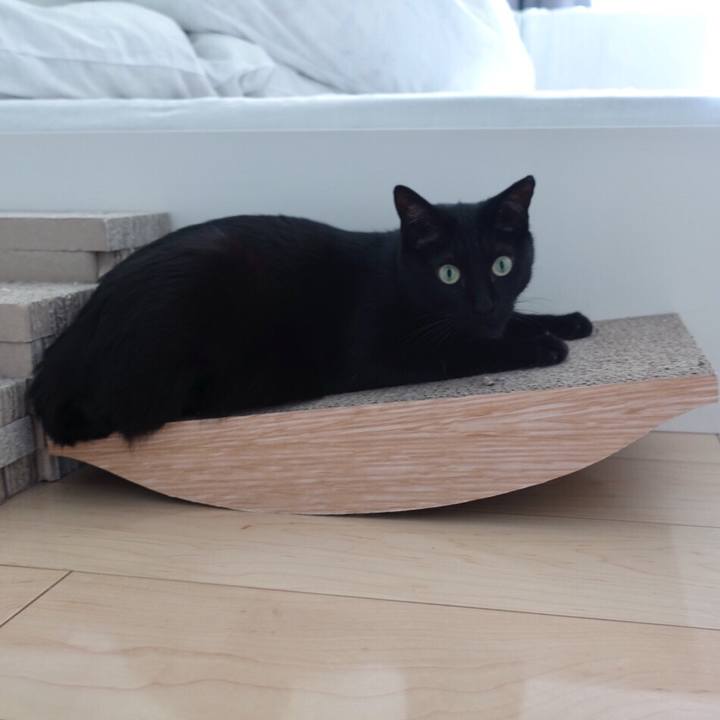 Cdc5f8a6 7b92 43ab b157 dbd8aea9a232 1543763113956