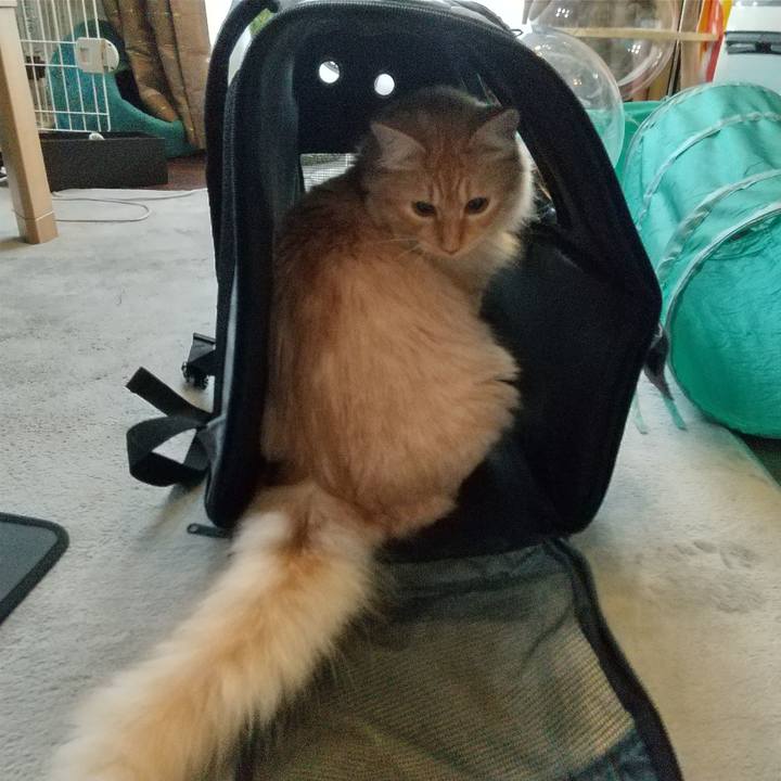 Cdc632bc b740 4523 a64e 4e29a18290ef 1627694994282