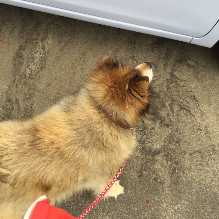 Cdc652cd d890 43a0 bbbe 051028273772 1570585206755