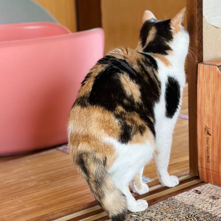 Cdc654c8 b8b0 442a 90f6 b6dd93a0ae2f 1717377962736