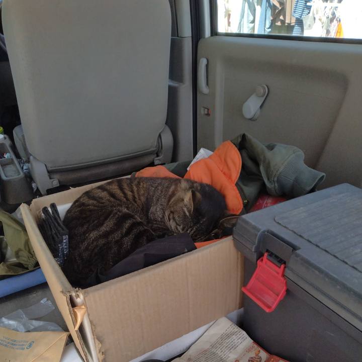 Cdc65787 77a0 4516 9c1e 919a571343ed 1745291497941