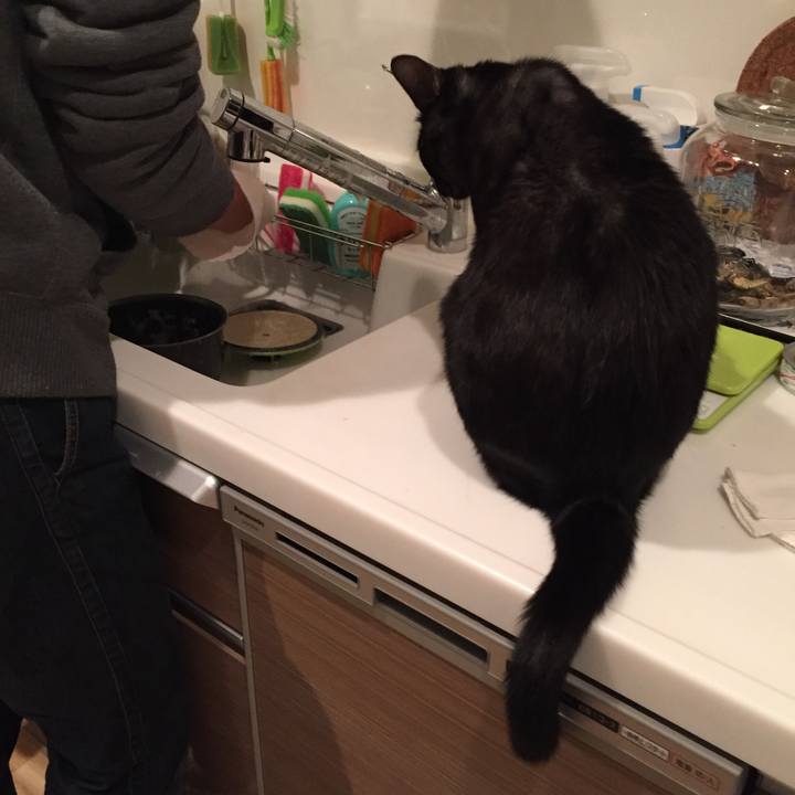 Cdc65c52 6305 4b58 862b 83fac9b42d67 1510838550884