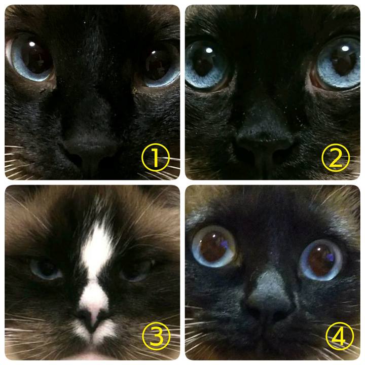 Cdc66977 13d1 45e1 ba0e f9bedfd56f2c 1551502665846